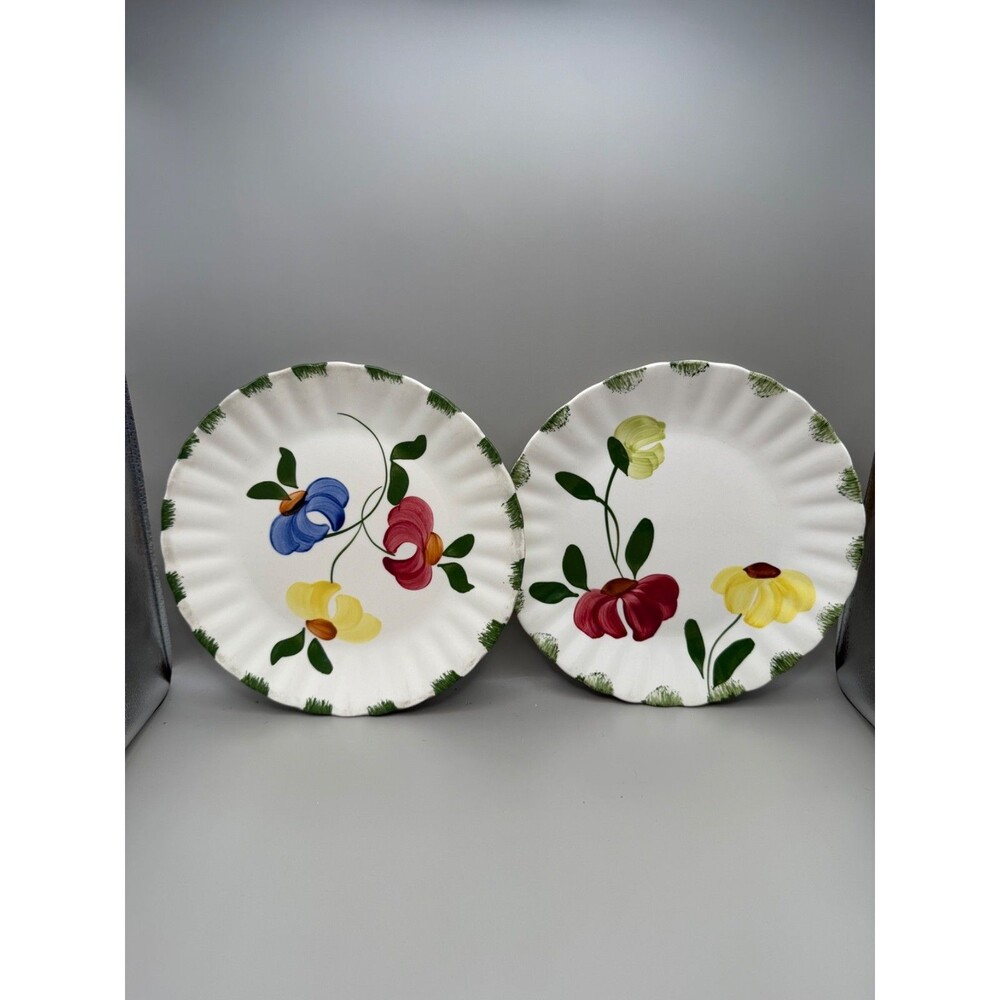 Blue Ridge Pottery Fluted Floral Pattern Dinner Plates Set of 2 9-1/4"